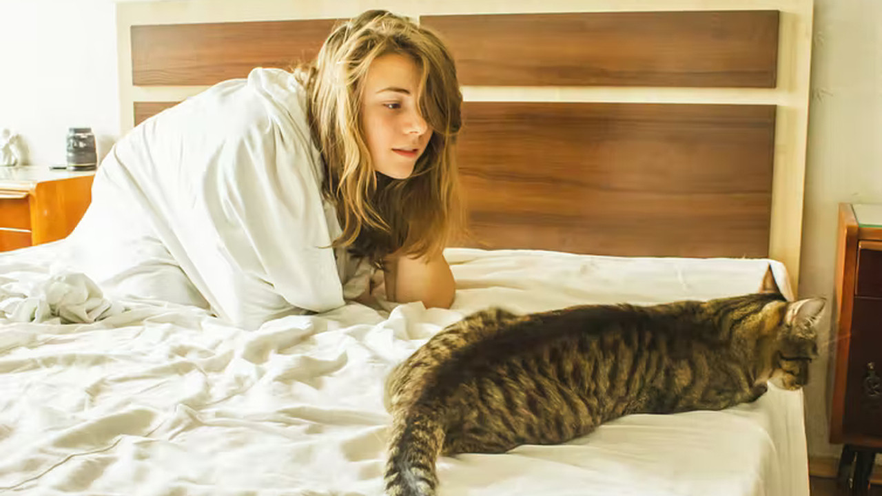 Kediler, sahiplerini neden sabahın erken saatlerinde uyandırır? Kedinizin sizi uyandırmasını önlemek için ne yapmalısınız?