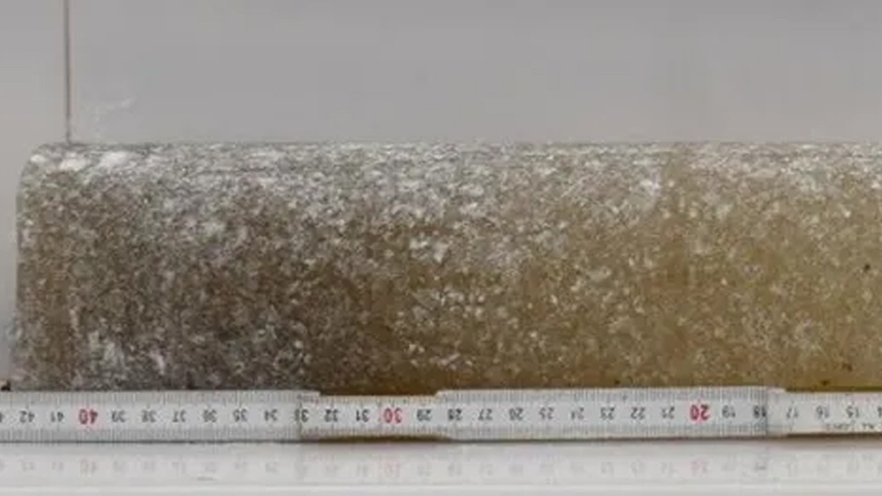 Antarktika'daki "zaman makinesi" 6 milyon yıl geri gitti