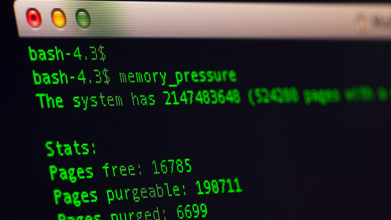 52 yıldır kayıp olan "yazılım hazinesi" depo temizliğinde ortaya çıktı