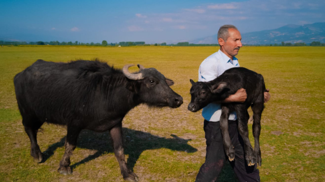 Huawei XMAGE 2025 ödülleri açıklandı: Tokatlı Mehmet Emin Coruş dünya ikincisi oldu