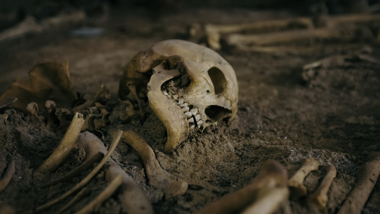 Arkeologlar, bir iskeletin cinsiyetini nasıl anlayabiliyor?