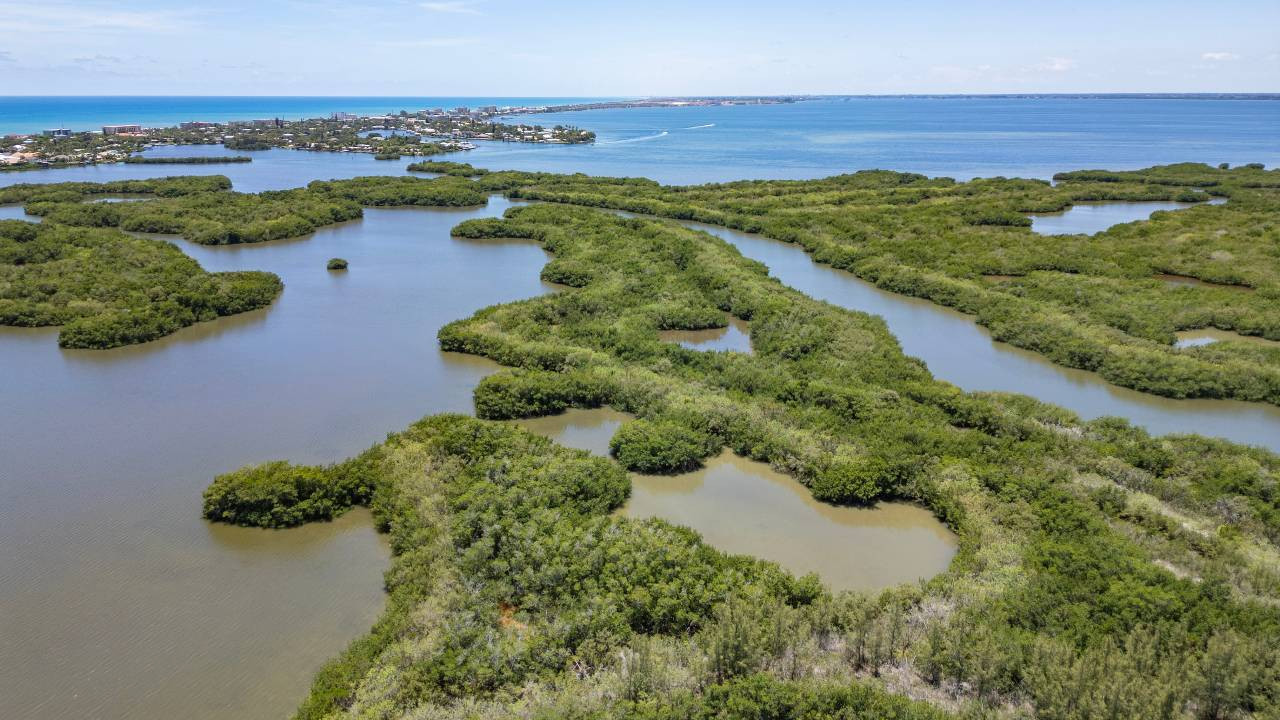 Blue Origin’in atık su planı Florida’yı karıştırdı: Ekosistem tehlikede mi?