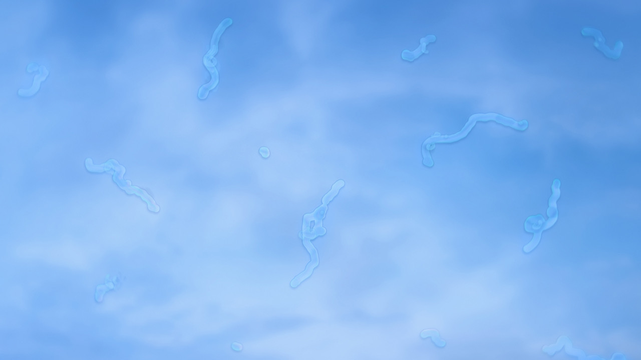 Parlak gökyüzüne bakarken gördüğümüz tuhaf noktacıklar ne anlama geliyor?