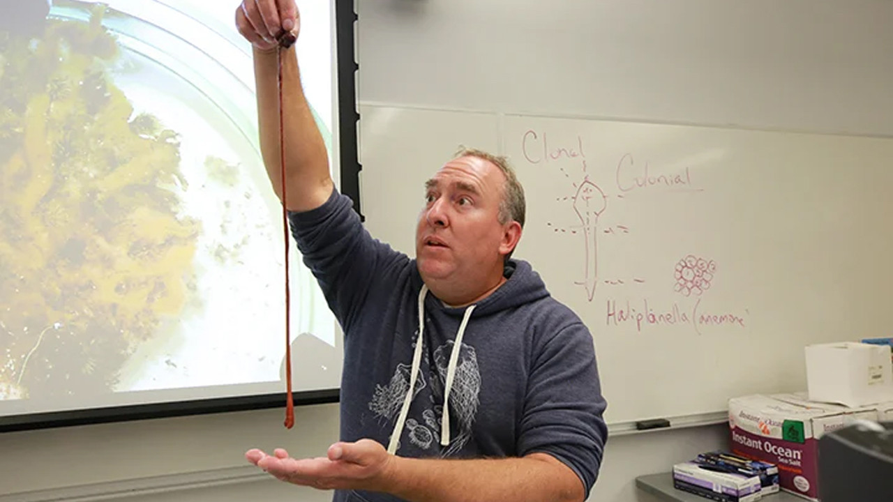 Bilim dünyasını şaşkına çevirdi: 3 yıl yaşayacaktı, 30 yaşına merdiven dayadı