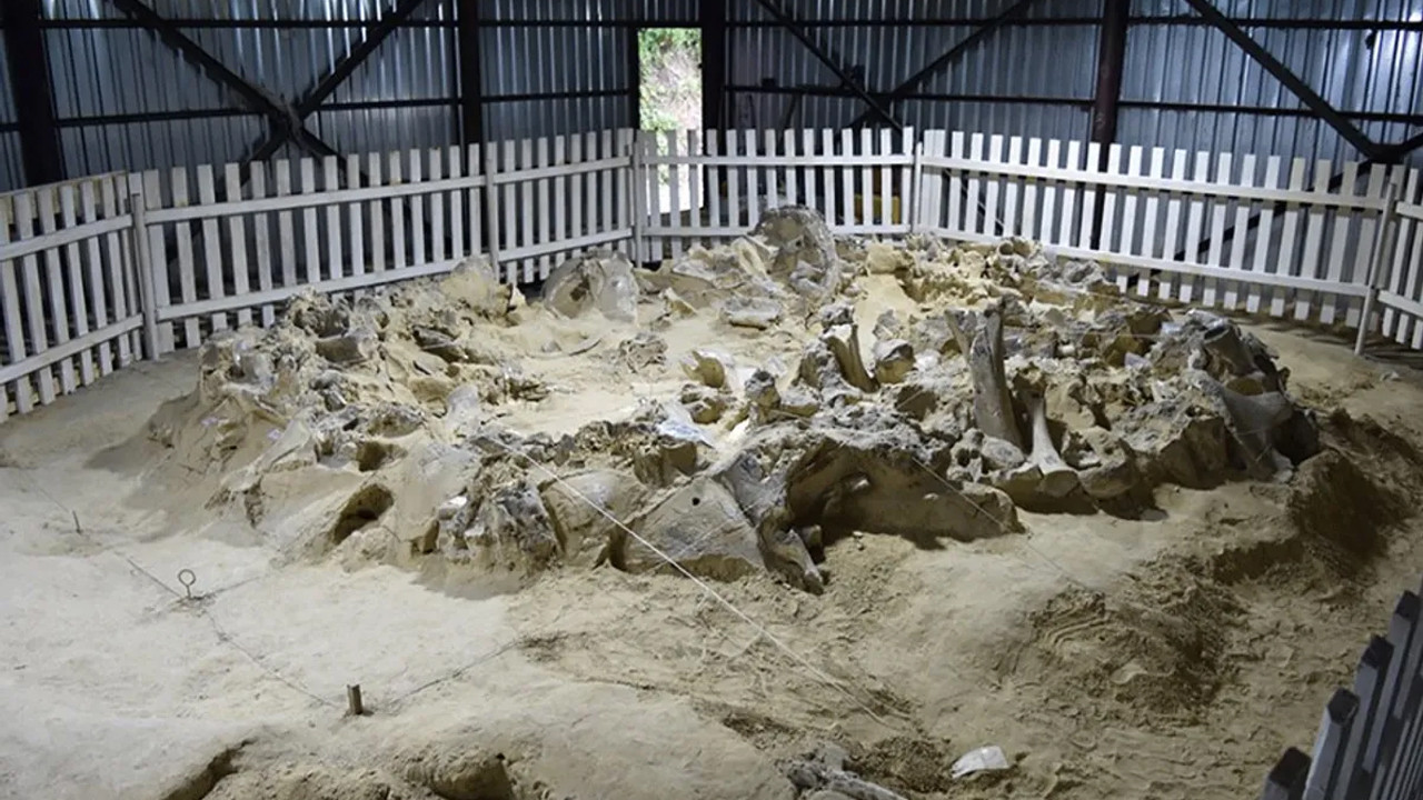 Mamut kemiğinden evler: Atalarımızın dondurucu soğukla imtihanı