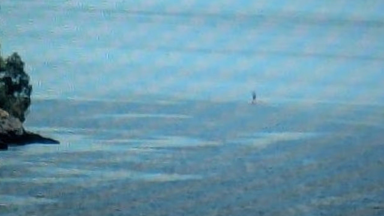 Efsane geri mi döndü? Ünlü "canavar" 2025 yılında 5 kez ortaya çıktı