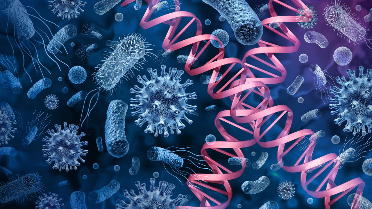 Dünya'nın yeni kabusu: İlaç tanımayan "süper mantar" yayılıyor