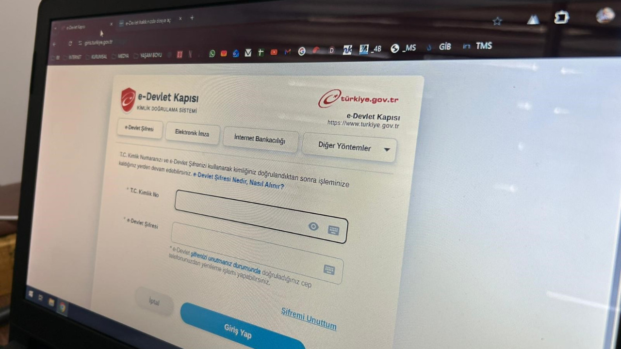 e-Devlet’in de ikizini yaptılar