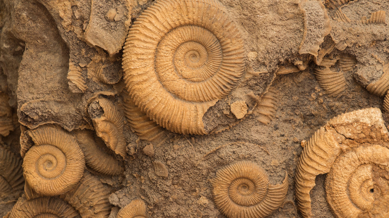 İmkansızı başarıp hayatta kaldılar, sonlarını getiren şey bambaşkaydı