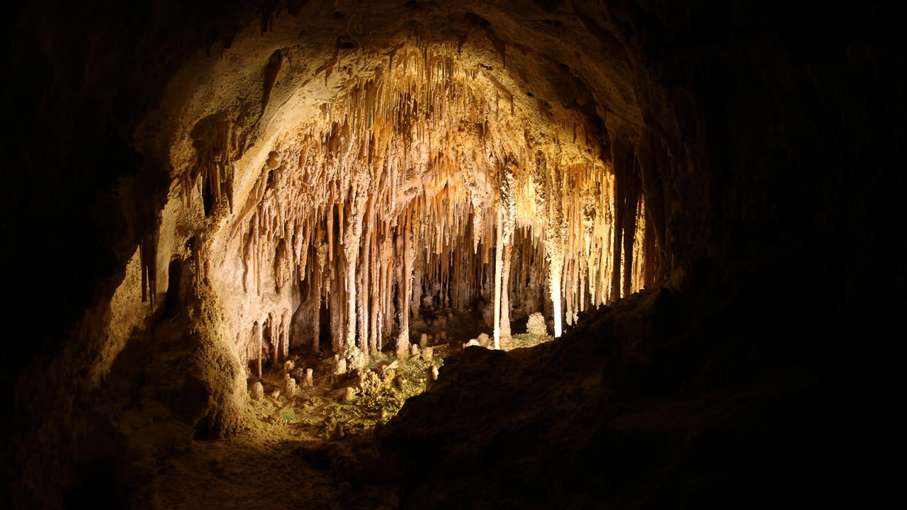 Zifiri karanlıkta 49 milyon yıllık mucize