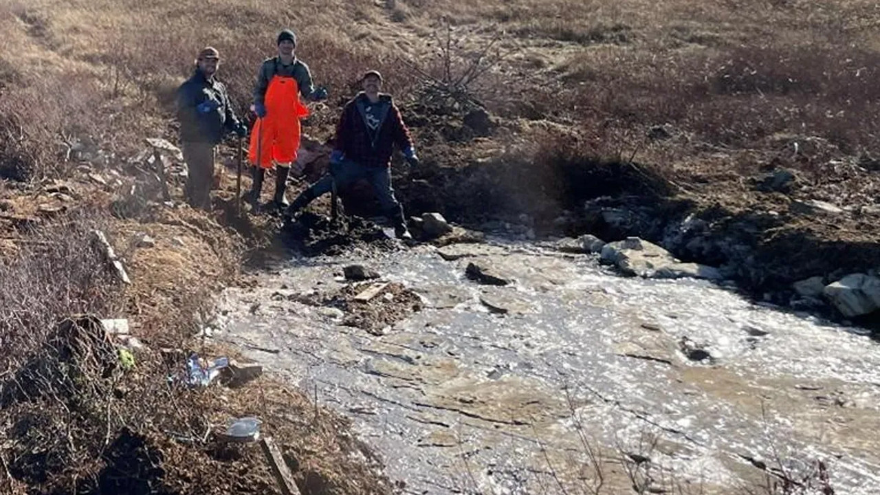 Dünya’nın kaderini değiştiren felaket: %80’i bir gecede yok oldu