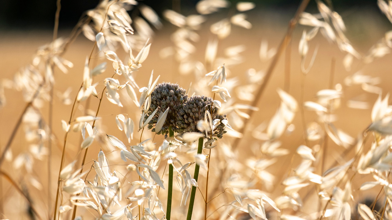 Antibiyotik krizinde korkutan detay: Tehlike toprağın altında saklanıyor