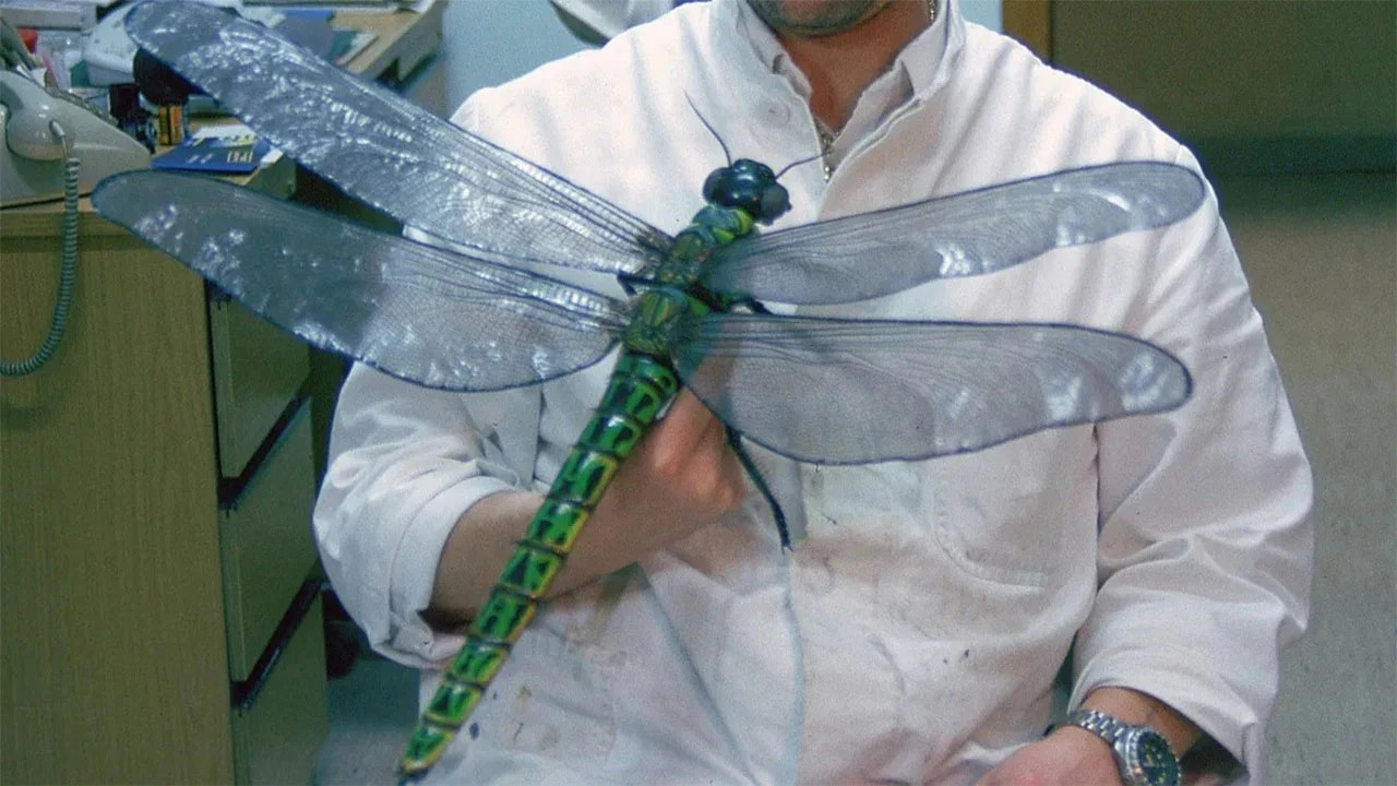 Milyonlarca yıl öncenin dev böcekleri neden küçüldü?