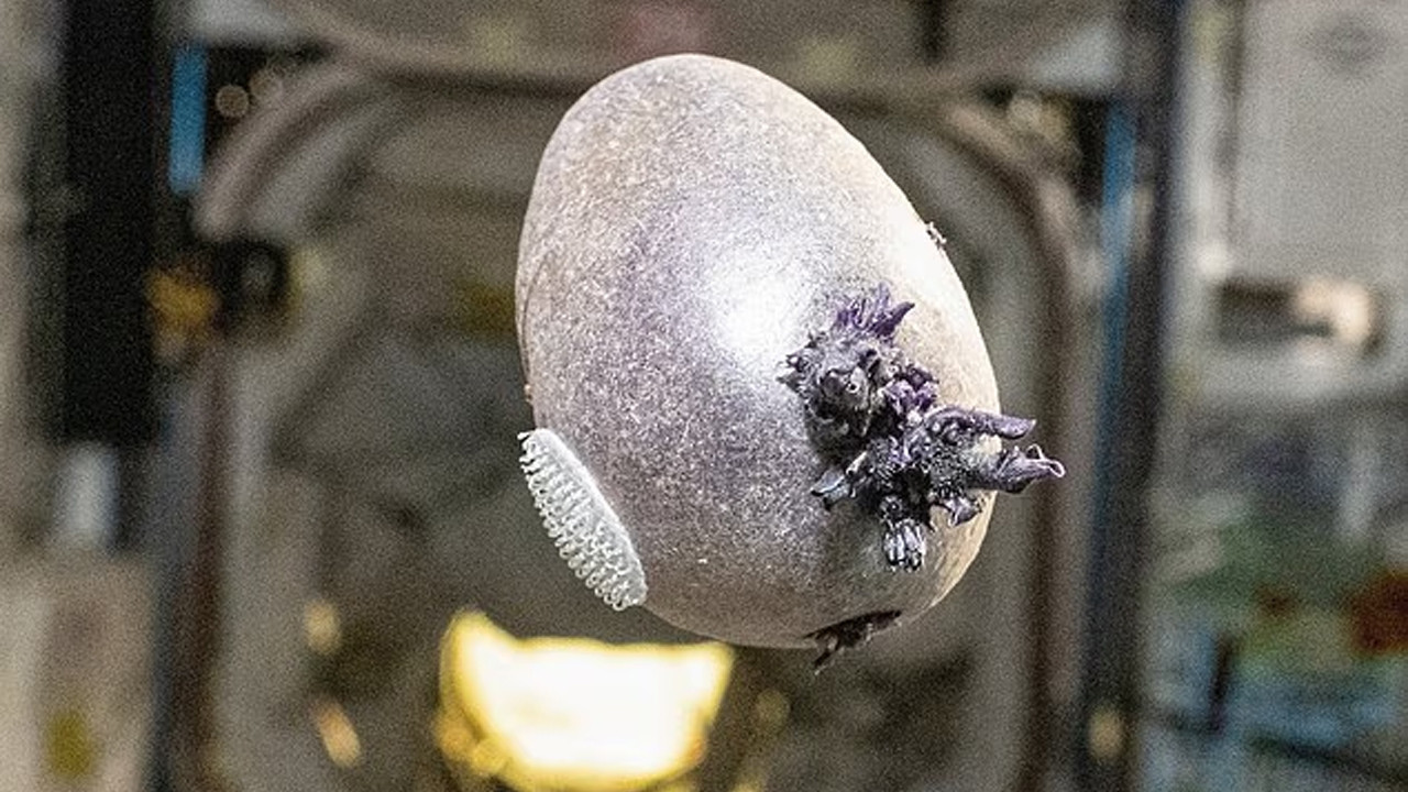 Uzay istasyonunda panik yaratan görüntü: NASA astronotu gerçeği açıkladı