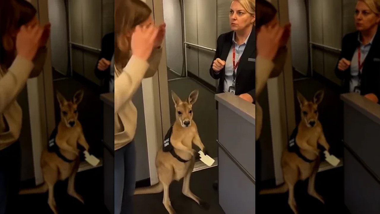 Gözlerinize ne kadar güvenebilirsiniz? Yapay zeka videolarını ele veren kritik ipuçları