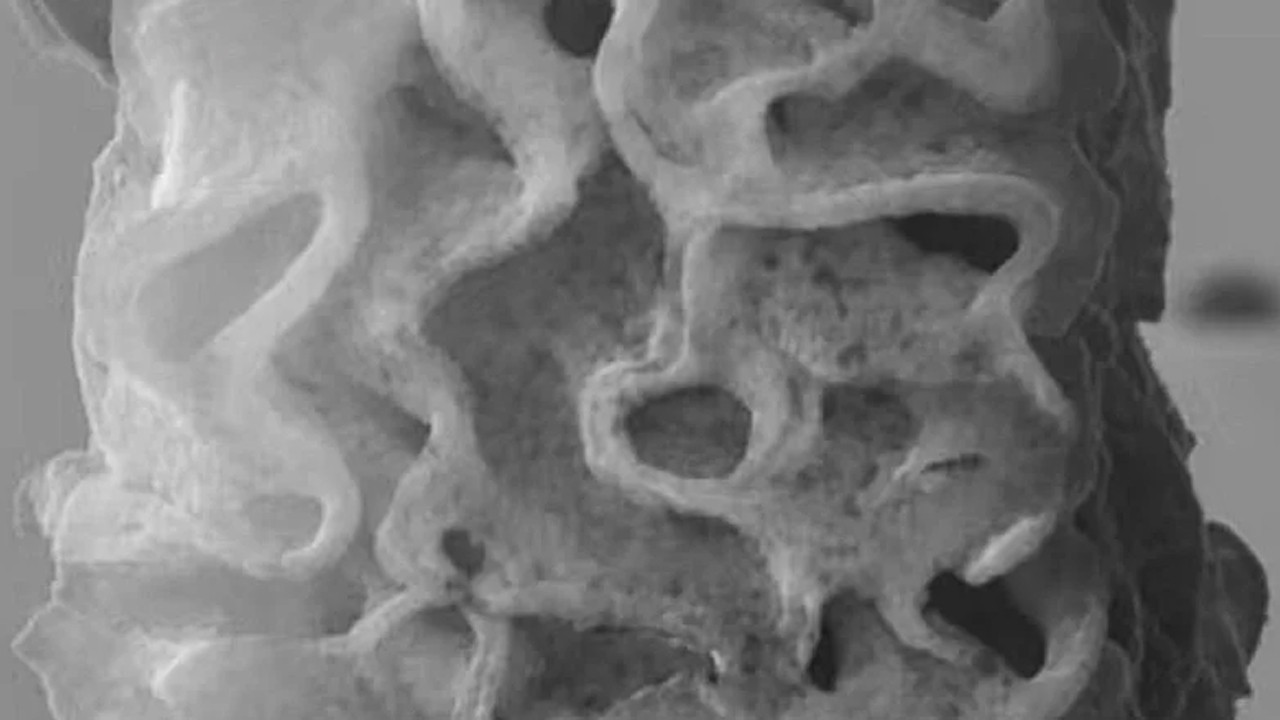 Geleceğin malzemesi: Hem tüy kadar hafif, hem de 50 kat daha güçlü