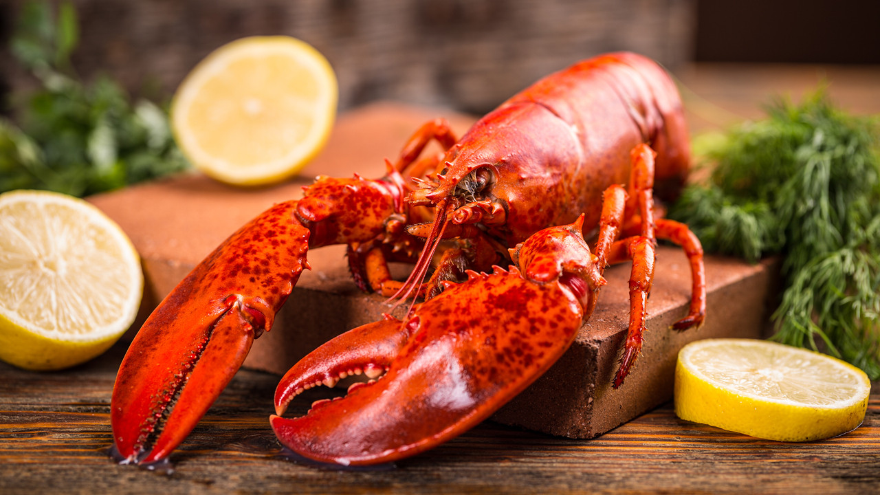 Mutfaktaki etik kriz: Istakozların acı çektiği bilimsel olarak kanıtlandı