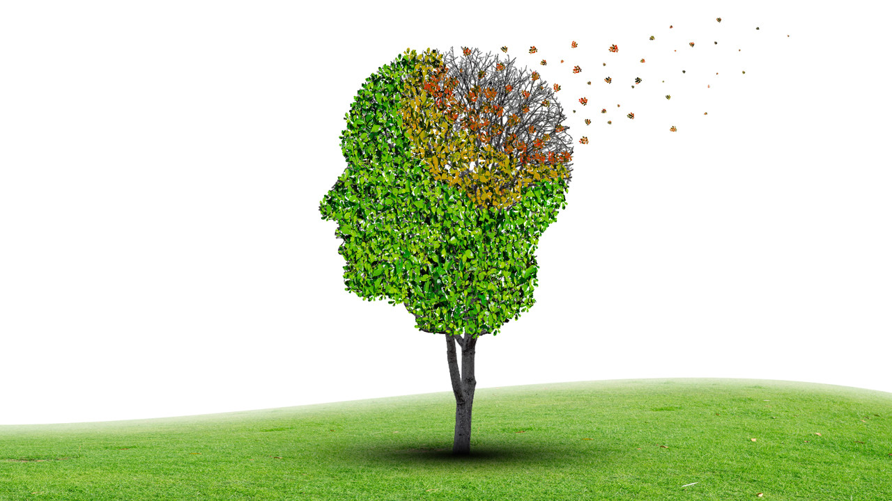 10 bin kişilik araştırma, yalnızlık ve demans arasındaki ince çizgiyi ortaya çıkardı