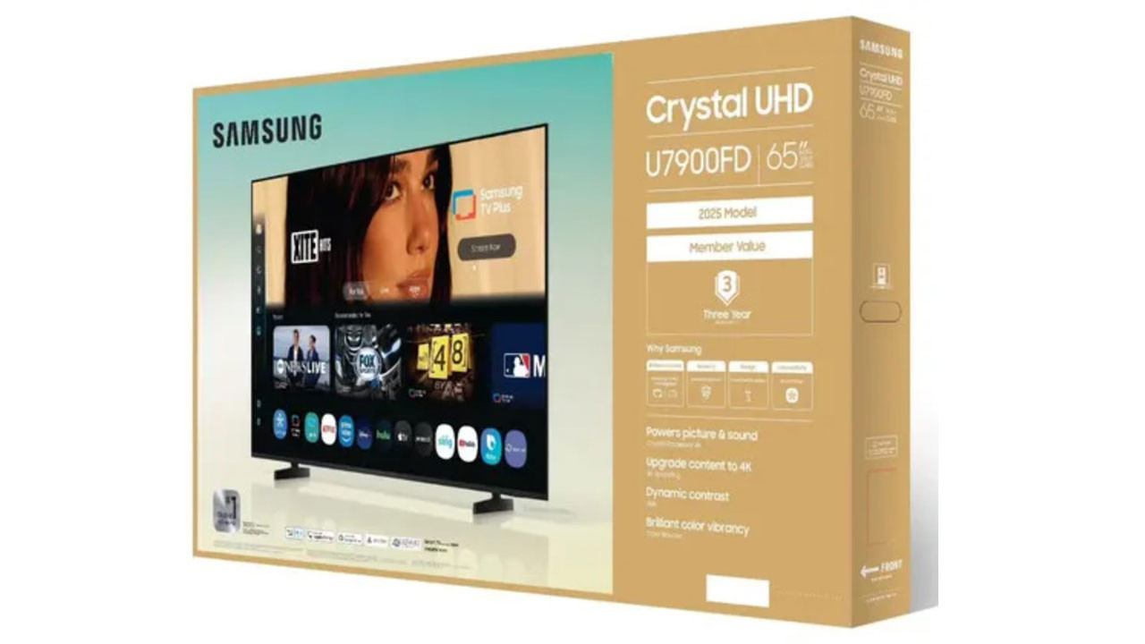 Samsung’un TV kutuları başına iş açtı: Dua Lipa 15 milyon dolar istiyor