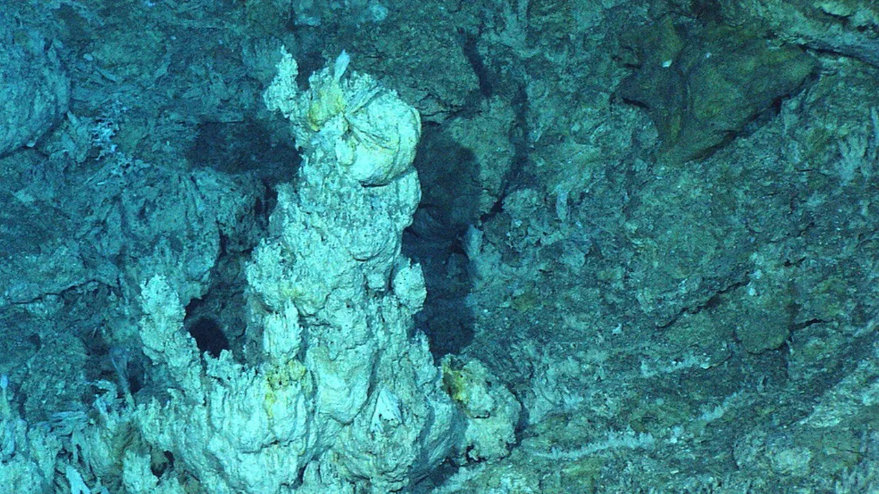Atlantik'in 1.3 kilometre altındaki devasa doğal ağ