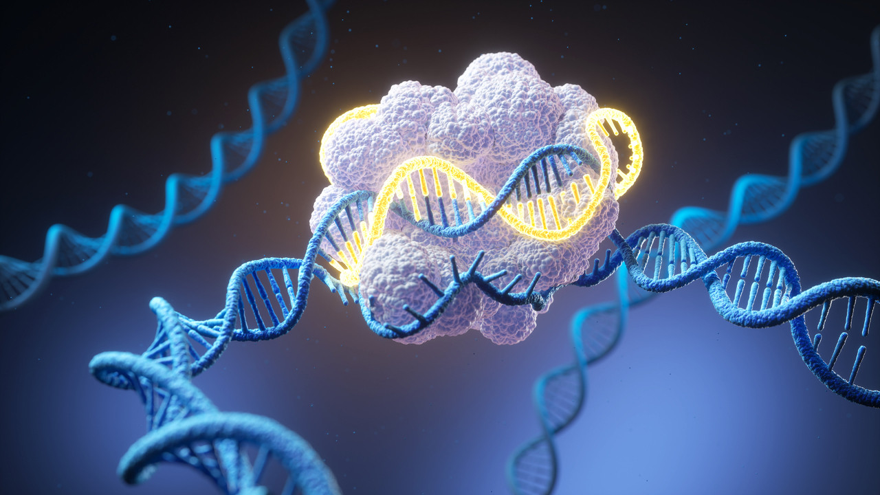 Anthropic'in yapay zekasından yeni bilimsel keşif: ART sistemi ortaya çıktı